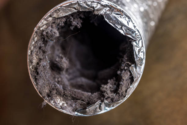 Best Professional Duct Cleaning Services  in Casselberry, FL