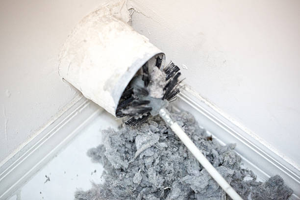 Best Professional Duct Cleaning Services  in Casselberry, FL